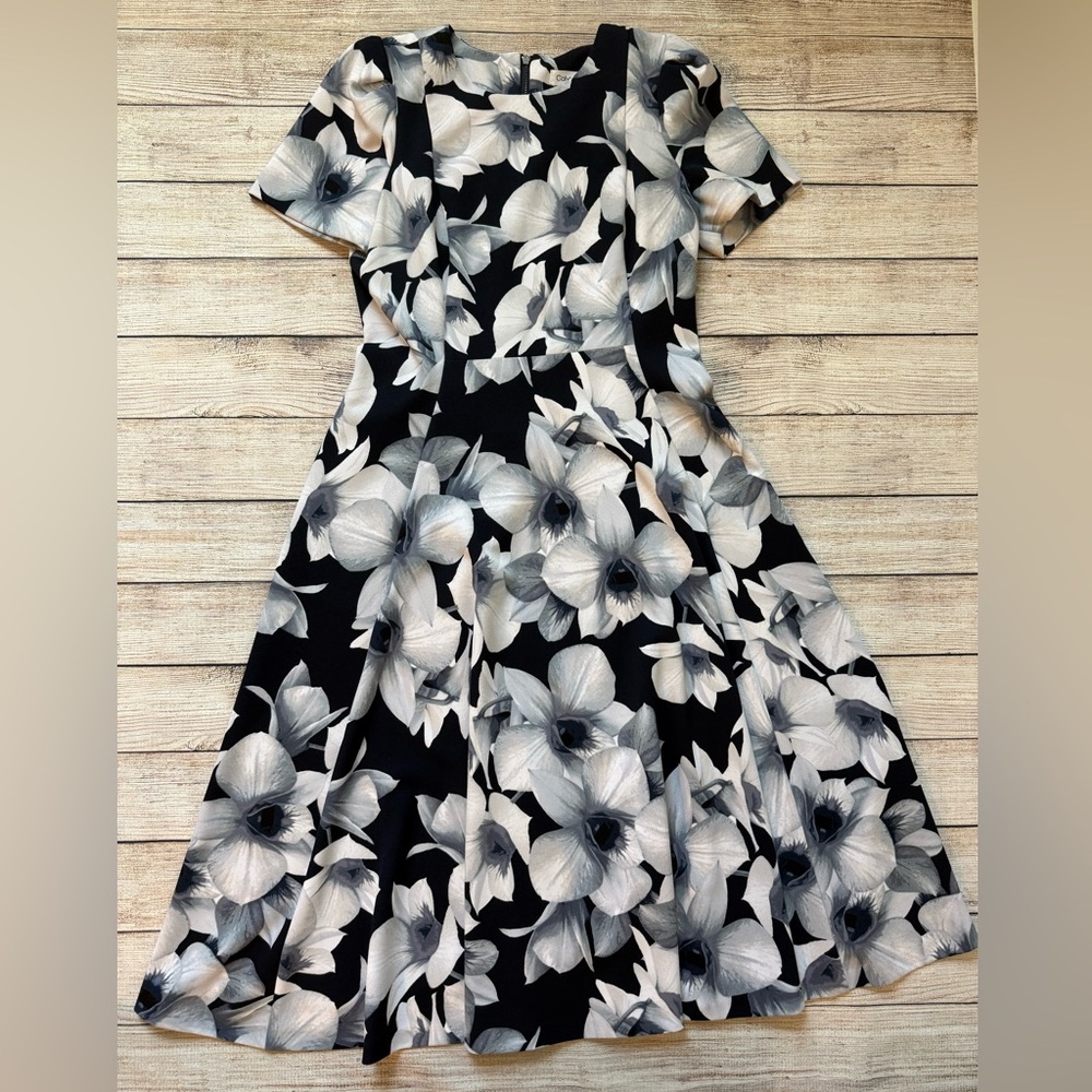 Calvin Klein Size 6 Women’s Dress Navy & White Floral